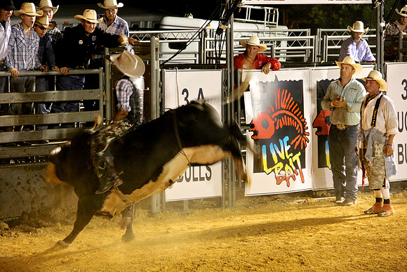 Bulls On The Beach 2012