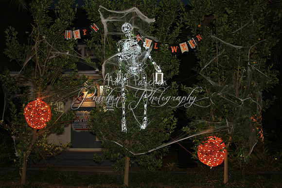 IMG_7708 - Version 2